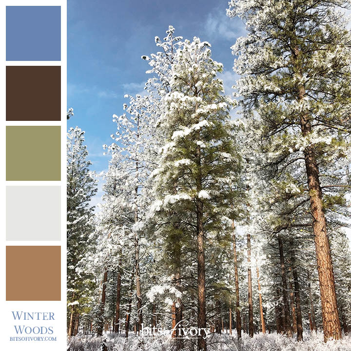 Snowy woods scene with color palette