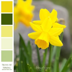 Color inspiration photo of daffodils with color swatches