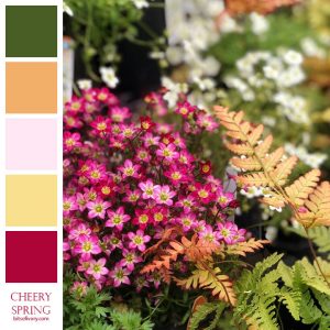 Flowers with matching color swatches
