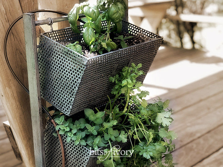 herbs planted in recycled office organizer